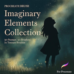 May include: Digital art product advertisement. The text reads "Imaginary Elements Collection" with "30 Stamps | 30 Brushes | 10 Texture Brushes". A silhouette of a person looking up at a starry sky is in the background. The product is "For Procreate".