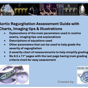 Aortic Regurgitation Echo Assessment Guide, Study Guide, Echocardiogram, Cardiology, Echo Tech, Charts, Echo charts, Severity scales