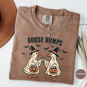 May include: Brown t-shirt with the text "GOOSE BUMPS" and a graphic of two geese wearing witch hats and holding jack-o'-lanterns. The geese are giving each other a fist bump. Bats are flying above the geese. A silver necklace is draped across the shirt.