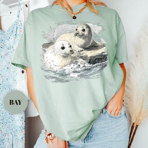 Pode incluir: T-shirt verde s&aacute;lvia com uma ilustra&ccedil;&atilde;o vintage de duas focas numa rocha no oceano. As focas s&atilde;o brancas com olhos escuros, e a obra de arte &eacute; detalhada com sombreamento e linhas. A t-shirt tem um corte descontra&iacute;do.