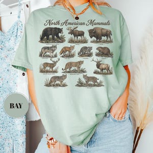 May include: A light green t-shirt featuring a graphic print titled North American Mammals. The design displays illustrations of an American black bear, moose, bison, gray wolf, red fox, raccoon, beaver, white-tailed deer, mountain lion, elk, coyote, and bobcat.