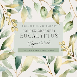 Botanical Clipart, Eucalyptus Greenery with Gold Foil, Watercolor Foliage PNGs, 300DPI for Canva, Stationery & Wedding Design