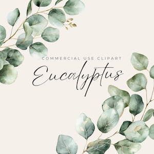Eucalyptus Watercolor Greenery, Foliage, Wedding trend with Gold Foil, Botanical Clipart 300DPI PNGs, Canva Stationery Design, Sage Green