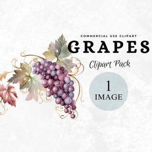 Vite, Illustrazione Estetica Acquerello Fogliame, PNG, Download Digitale Istantaneo, PNG di Alta Qualità, Frutta Mediterranea, Acquerello