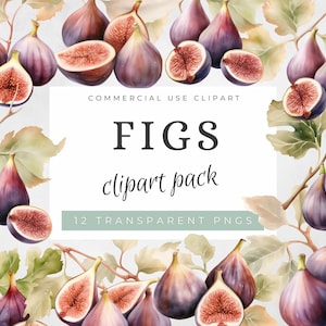May include: A digital clipart pack of 12 watercolor illustrations of figs. The figs are depicted in various stages of ripeness, with some whole and others sliced open. The illustrations are set against a white background with green leaves.