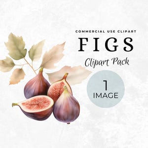 Vijg clipart illustratie png, mediterraan aquarel fruit, hoogwaardige 300 dpi, transparante achtergrond, keukenlabel Element aquarel