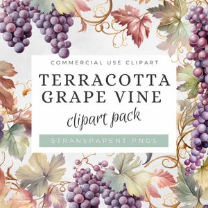 May include: Watercolor illustration of a terracotta grape vine with purple grapes and green leaves. The image is labeled "Terracotta Grape Vine clipart pack 5 Transparent PNGs".