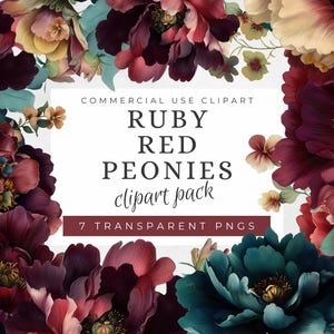 Puede incluir: Un paquete de imágenes prediseñadas digitales con peonías rojo rubí en plena floración. La imagen presenta una gama de colores, incluyendo rojos intensos, rosas, amarillos y verde azulado. El texto en la imagen dice "RUBY RED PEONIES clipart pack" y "7 TRANSPARENT PNGS".
