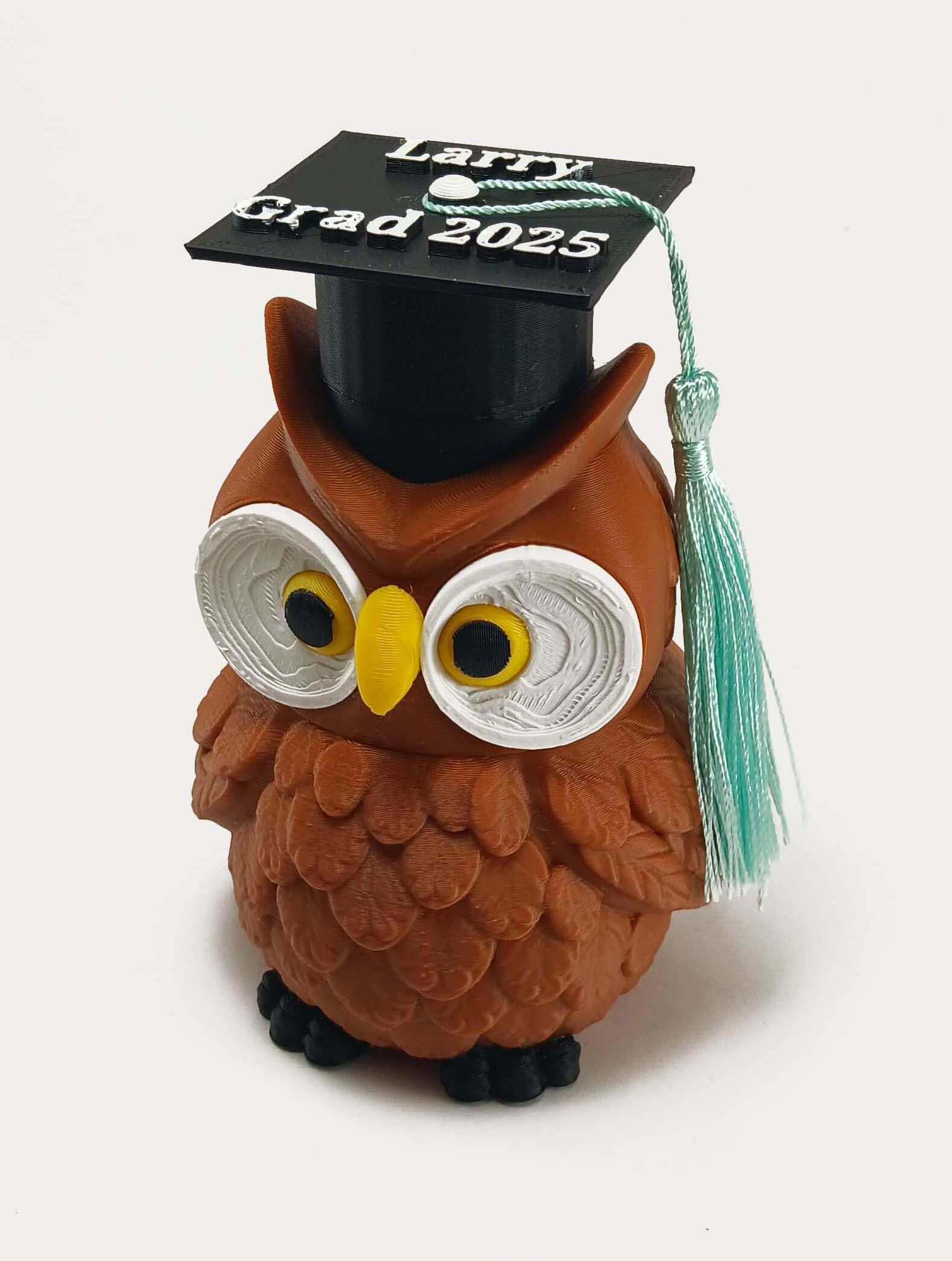 Graduation Owl Locking Maze Bank