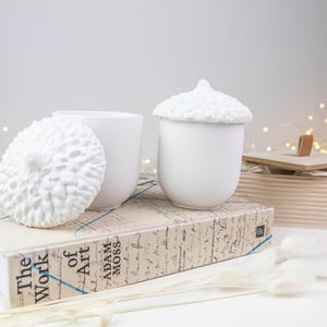 ACORN CONTAINER | Trinket Storage | Minimalist Home Decor | Home Decoration | Home Accents | Housewarming Gift