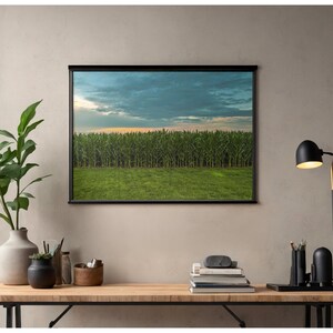 Könnte beinhalten: Ein rechteckiger Wandkunstdruck mit einer Landschaft aus einem grünen Maisfeld unter einem bewölkten Himmel in der Abenddämmerung, gerahmt in einem dünnen schwarzen Rand. Der Druck hängt an einer hellen Wand über einem Schreibtisch aus Holz.