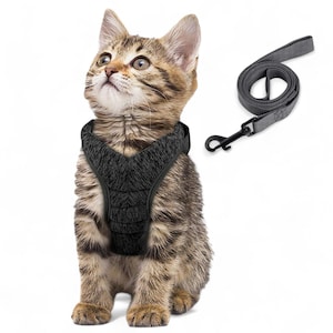 軽量で通気性のあるウォーキング用キャットハーネス | 猫と子猫用のソフトリーシュトレーナー、脱走防止の探索用ハーネス | 首輪付きH型キャットハーネス