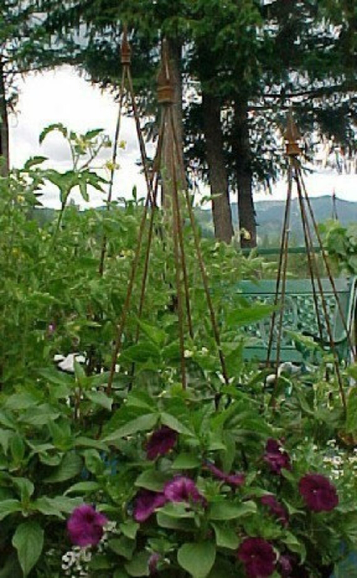 TWOClassic LYRE Topped Trellis Tower All Metal Stylish Etsy