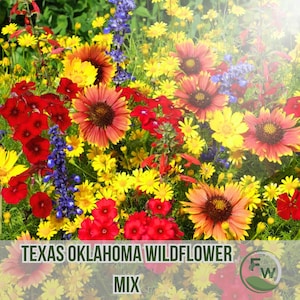 Mix de 300 sementes de flores silvestres do Texas e Oklahoma | 14 espécies de flores nativas | Jardim de polinizadores coloridos | Sem OGM