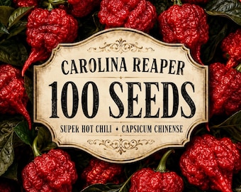100 Carolina Reaper Pepper Seeds – Capsicum chinense Hot Chili Moestuin planten
