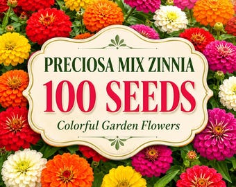 100 semillas de zinnia Preciosa Mix / Semillas de flores anuales coloridas / Flores de jardín fáciles de cultivar para macizos, bordes y flores cortadas