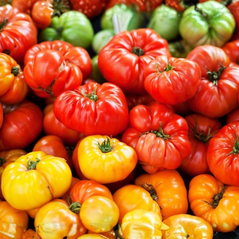 50 Heirloom Beefsteak Tomato Seeds | Large Non-gmo Vegetable Garden ...