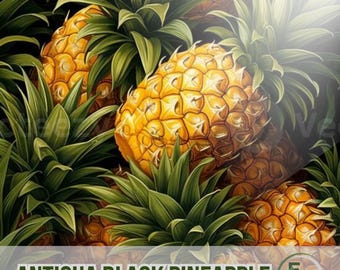 15 Antigua Black Pineapple Seeds Rare Tropical Fruit Plant Garden & Container Growing