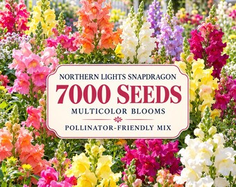 Northern Lights Snapdragon Seeds | Multicolor Antirrhinum Mix (7000 Seeds)