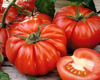 50 Heirloom Beefsteak Tomato Seeds | Large Non-GMO Vegetable Garden Planting