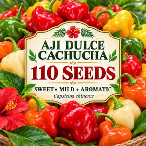 Semillas de ají dulce cachucha, Capsicum chinense dulce y suave (110 semillas)
