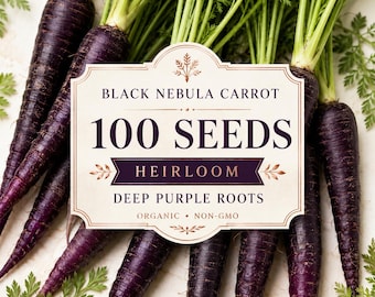 Black Nebula Carrot Seeds, Heirloom Organic Non-GMO, Deep Purple Roots (100 Seeds)
