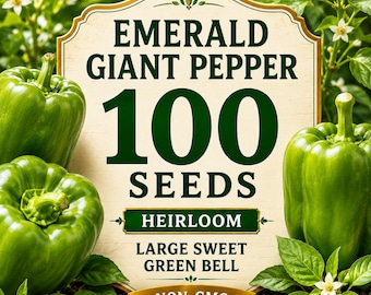 Semillas de pimiento Emerald Giant Heirloom, pimiento morrón grande, dulce y verde, sin OMG (100 semillas)