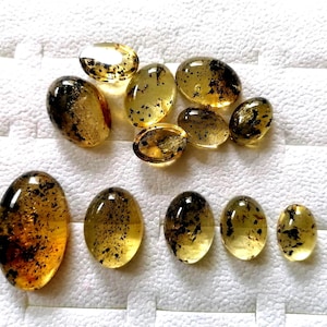 Natural Fossil Baltic Amber Oval Cabochons, Regular Calibrated, Amber Gemstone for Jewelry, Loose Gemstones, Flat Bottom