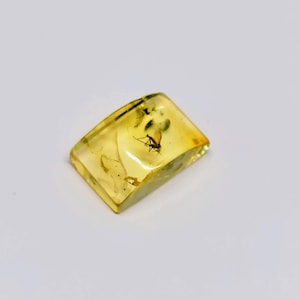 Puede incluir: Un trozo de ámbar amarillo translúcido con un insecto atrapado. El ámbar tiene forma rectangular con bordes redondeados. El insecto, pequeño y negro, es claramente visible dentro del ámbar.