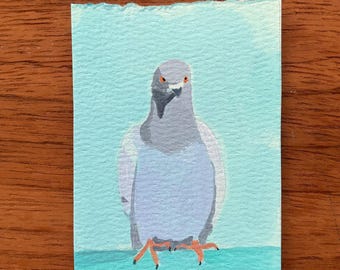 Pigeon Original Acrylic Miniature Painting, ACEO “In the Shadows”
