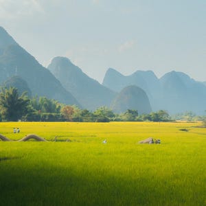 May include: A wide shot of a lush green field with a small bridge in the foreground. The field is surrounded by rolling hills in the background. The sky is a light blue with some clouds.