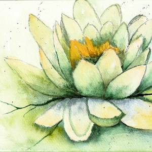 Cartão de saudação de nenúfar, cartão de saudação de aquarela original, qualquer ocasião! Cartão de saudação, cartão pintado à mão