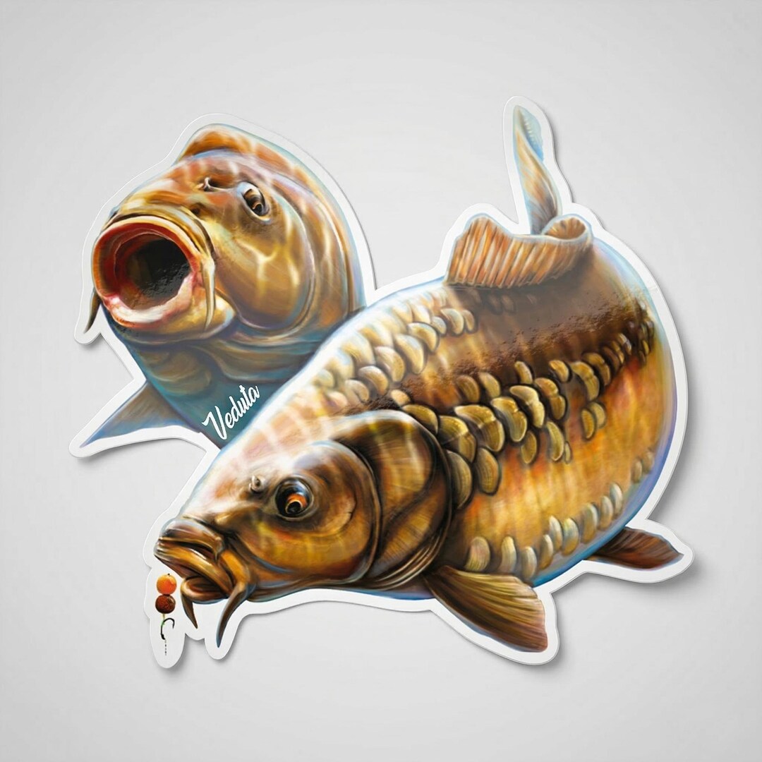 Carp Fishing Sticker - Etsy
