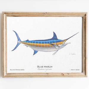 Blue Marlin fish Poster - Unique fishing gift for saltwater fishing lover