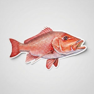 Fiskklistermärken och fiskeklistermärken – Vinyldekaler för röd snapper för personalisering av utrustning