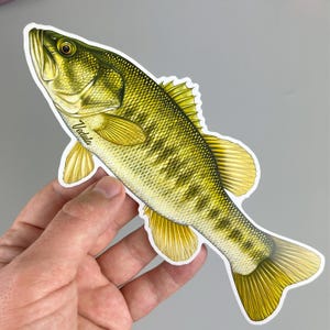 Florida Bass Sticker – 4" or 8" Waterproof Vinyl Decal – Perfect Fishing Gift – Free Shipping