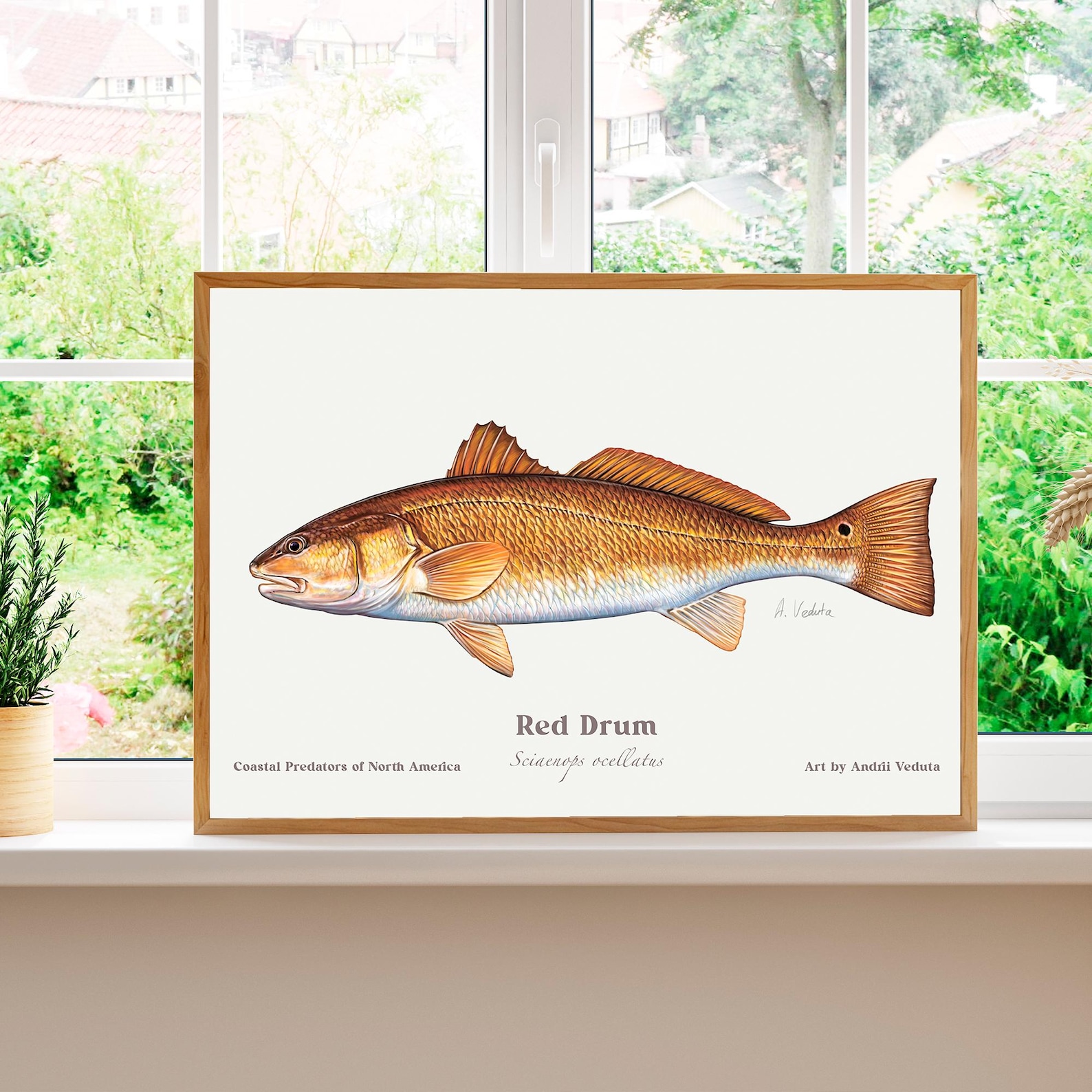 Redfish – Red Drum Digital Art for Anglers. Coastal Game Fish ...