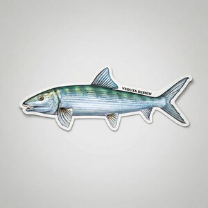 Adesivo per la pesca del pesce osseo: adesivo in vinile lucido, impermeabile e resistente ai raggi UV
