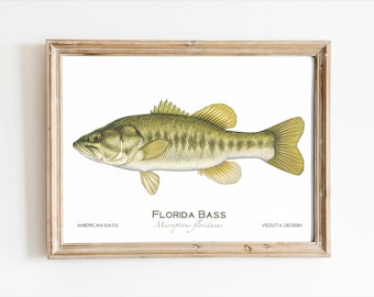 Largemouth Bass Art Print: Hand-Drawn Fishing Gift