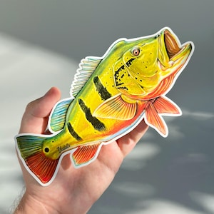 Peacock Bass Fishing Sticker: Angler Gift, Waterproof Vinyl Decal