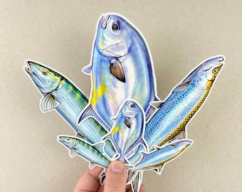 Adesivos para carros com tema de tarpon, peixe-osso e outros peixes, incluindo o Grand Slam de Florida Keys.