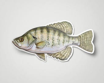 Witte sticker crappie vissen: cadeau visser, vinylsticker (4" en 8")