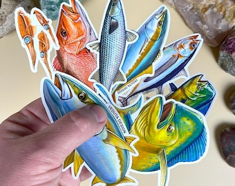Adesivos de Peixes de Água Salgada: Presente para Pescadores, Adesivos à Prova d'Água, Conjunto de 7 Peças