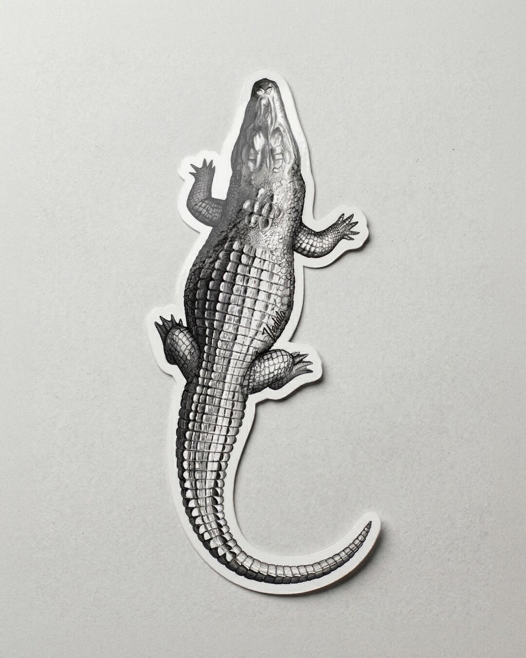 American Alligator Sticker – Realistic Monochrome Vinyl Decal 4 and 8 ...