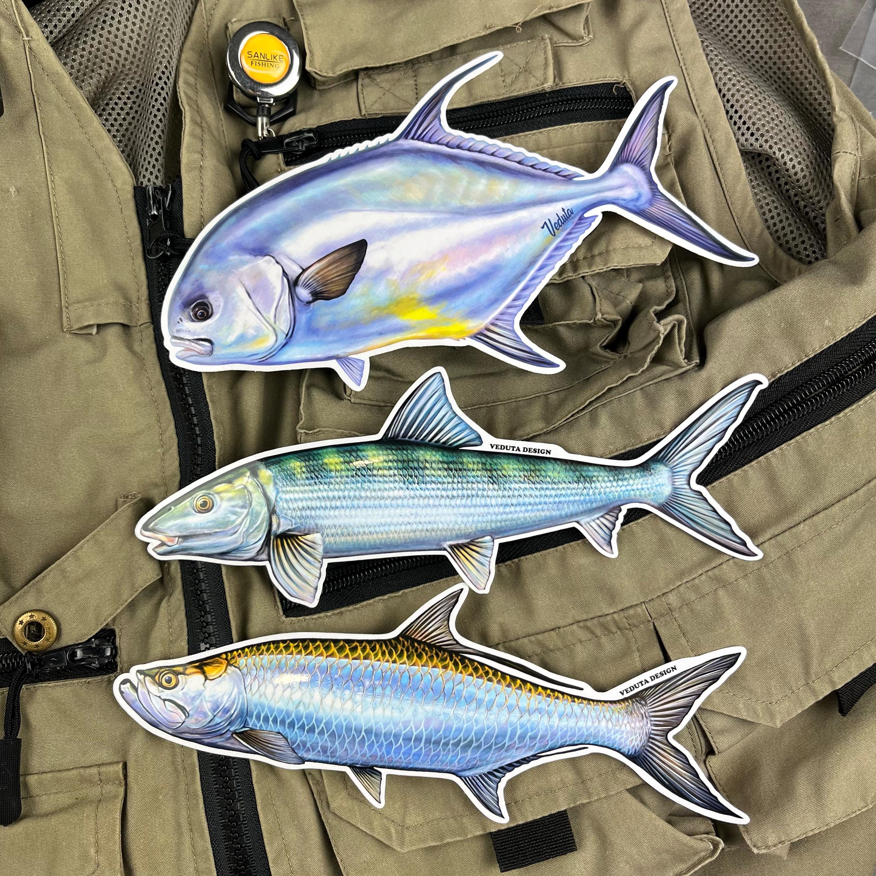 Permit Fly Fishing Sticker – Realistic Saltwater Fish Decal 4 and 8 ...