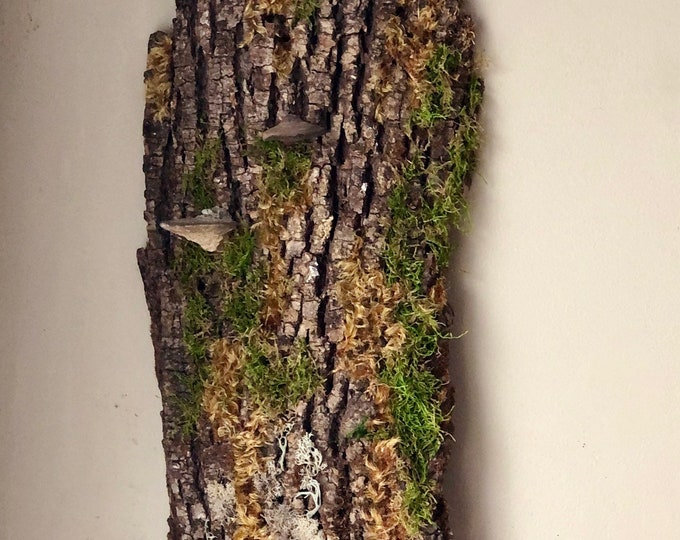 Tree Bark Wall Art Sculpture Etsy