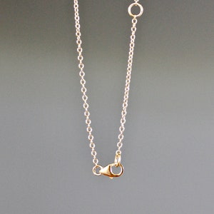 May include: A silver chain necklace with a lobster clasp closure.