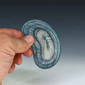 Indigo Blue Little Lima Bean Rib, Mini Rib, Potters Tools, Dymalux