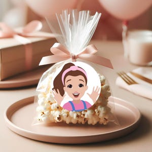 May include: A clear plastic bag filled with popcorn and tied with a pink ribbon. A round sticker with a cartoon girl with brown hair wearing a pink headband and a blue and pink dress is attached to the bag.