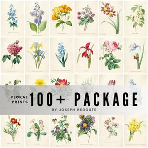 100+ Vintage Floral Illustrations / Joseph Redoute Prints / High-Quality Digital Downloads